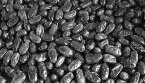 Dates Fardh 300g