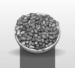 Spl Singdana (400G)