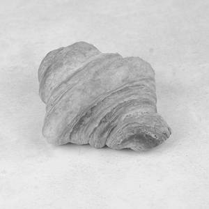 Crossiant Butter