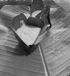 Kotte Kadubu (2 Pcs)