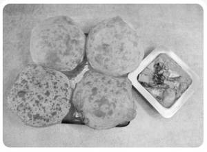 Puri With Madrasi Oondhiya