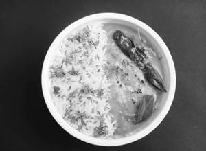 Dal Tadka Rice Combo