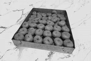 Balusahi