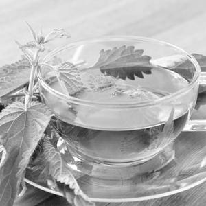 Thulasi tea