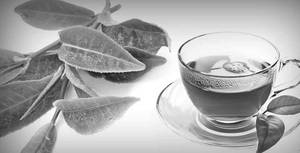 Guava tea