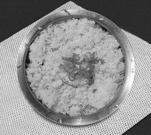 Biriyani rice 