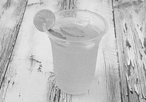 Mojito Mint