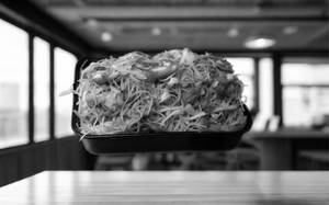 Chicken Noodles (single)