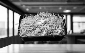 Egg Noodles (single)