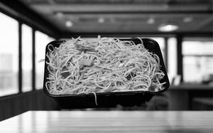 Veg Noodles (single)