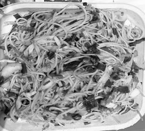Paneer Noodles