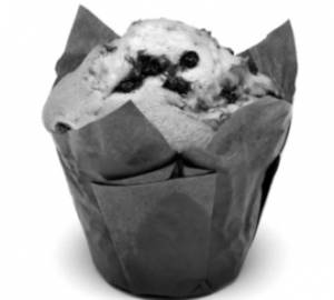 Blueberry Muffin