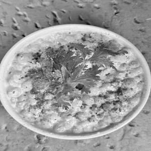 Boondi Raita