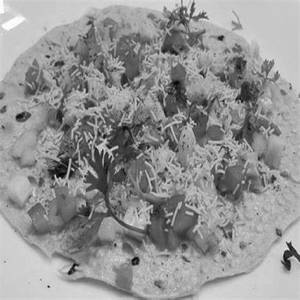 Masala Papad
