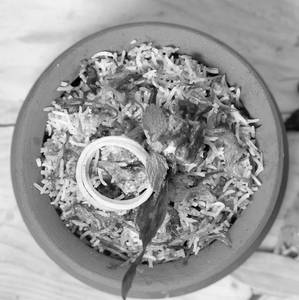 Paneer biryani