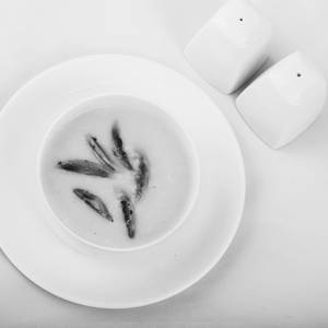 Cream Of Mushroom Soup