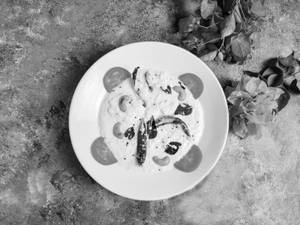 Curd Rice