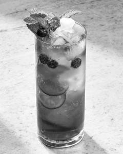 Blueberry Mojito