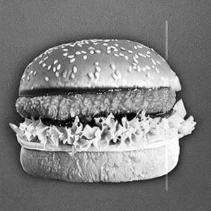 Chicken Zinger Burger
