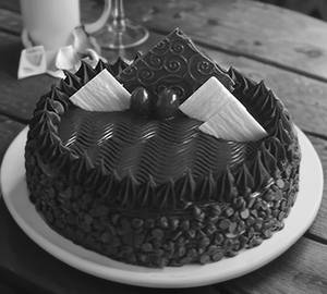 Chocolate Truffle 