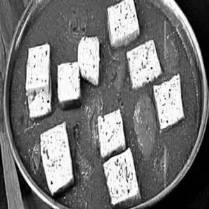 Paneer Schezwan