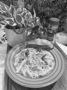 Veg Penne Alfredo