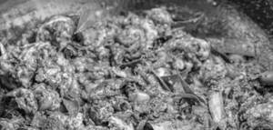 Mutton Brain Fry