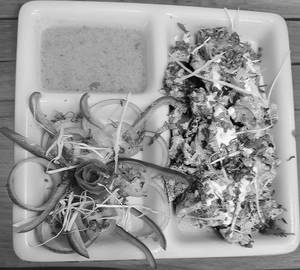 Malai Chaap