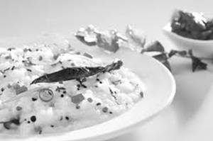 Curd Rice