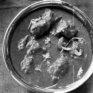 Murgh Hungama Curry