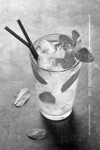 Mint Mojito