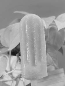 Orange Ice Sticks