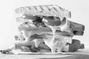 Junglee Paneer Grilled Sandwich