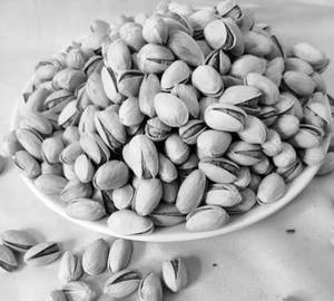 Salted Pista (100 Gms)