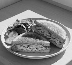 Avocado Chicken Cheese Sandwich