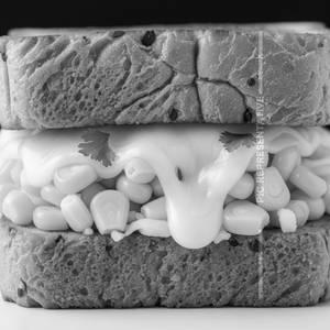 Corn Cheese Sandwich