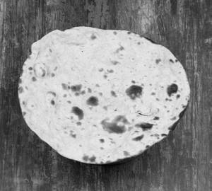 Roti / kulcha / naan / paratha