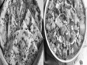 Paneer Kulcha 1 Pcs + Mix Veg