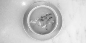 Onion Cheese Soup