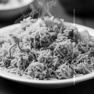 Plain Biryani