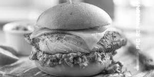 Mexican Chicken Burger Cheese Burger