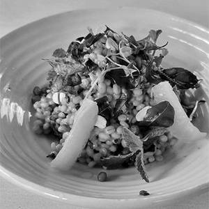 Barley Salad