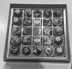 25 CAVITY DRY FRUIT SWEETS