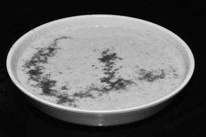 Plain Raita