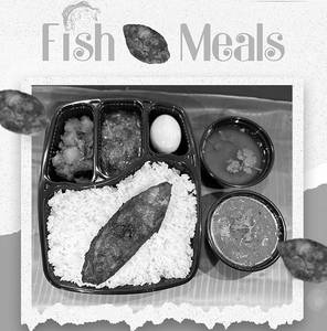 Solo Fish Meals