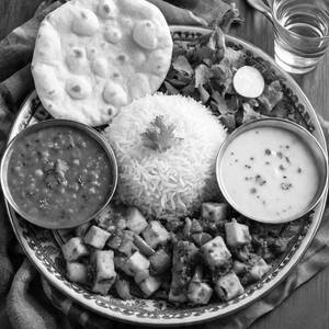 Shaan Special Thali