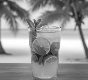 Mint Mojito 350Ml