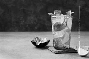 Mint Mojito