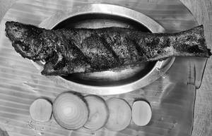 INDIAN SALMON FRY