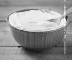 Plain Curd